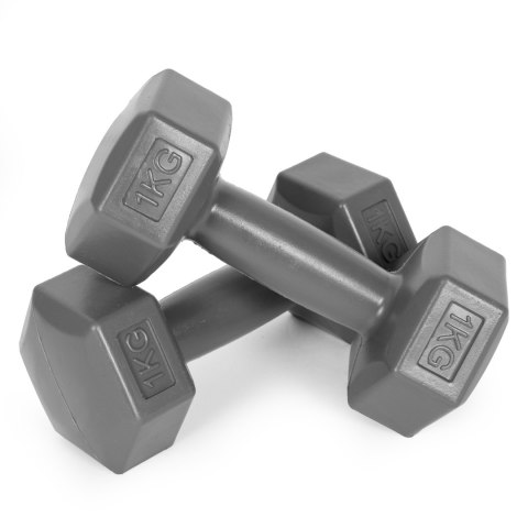Hantle sześciokątne zestaw 2x1 kg ciężarki do ćwiczeń obciążniki fitness szare ModernHome Hantle sześciokątne zestaw 2x1 kg ciężarki do ćwiczeń obciążniki fitness szare ModernHome
