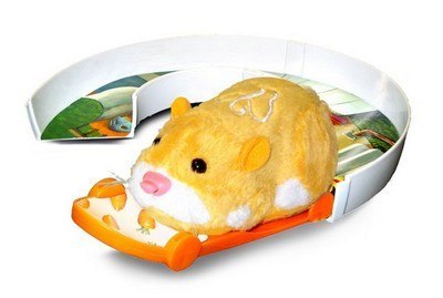 Run Run Park - Deskorolka + Tor + Gratisy! Run Run Park - Deskorolka + Tor + Gratisy!