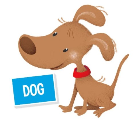 UCZĘ SIĘ ANGIELSKIEGO - 50769